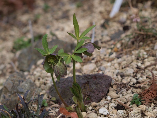 d0025568_20351358.jpg
