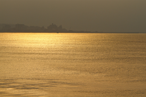 a0157069_753467.jpg