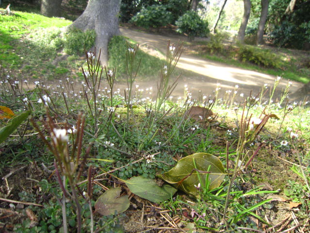 e0231771_2351251.jpg