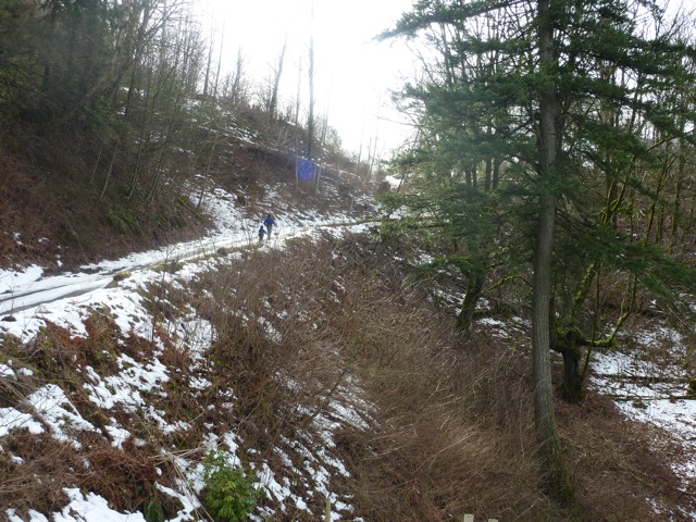 c0080075_1113425.jpg
