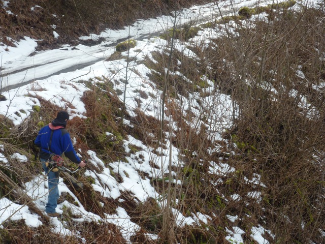 c0080075_185560.jpg