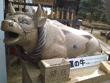 c0122791_1617410.jpg