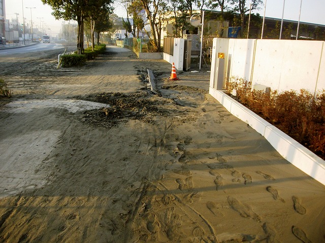 e0202393_6353055.jpg