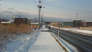 d0149105_7595779.jpg