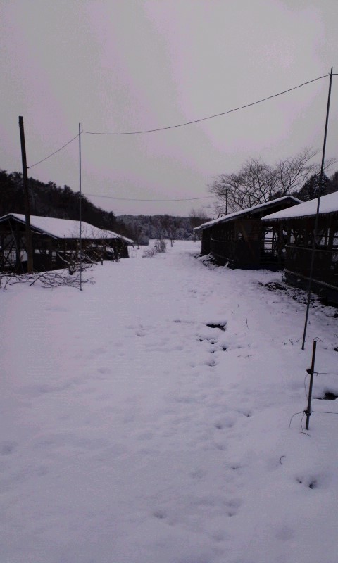 d0009952_21422693.jpg