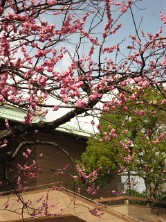 a0021558_22483070.jpg