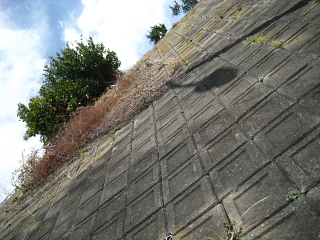 a0021558_22551764.jpg