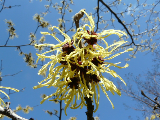 e0145782_18101338.jpg