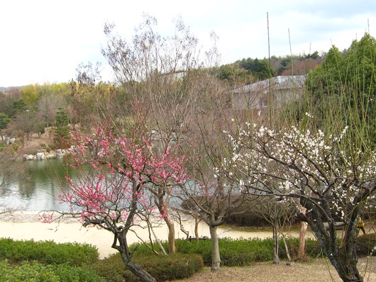 f0209683_19412.jpg