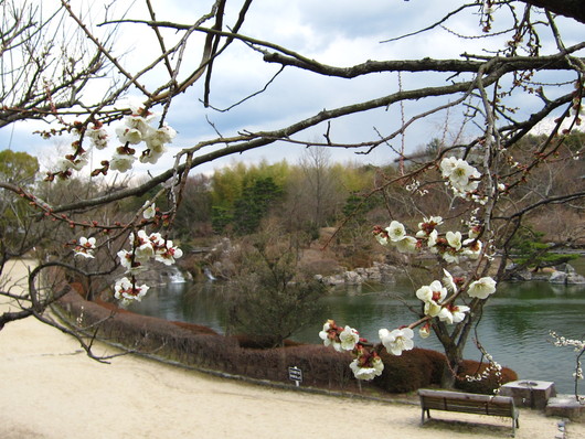 f0209683_1941827.jpg