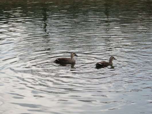 f0209683_1944184.jpg
