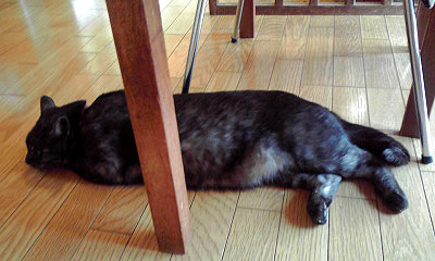 c0206596_1642432.jpg