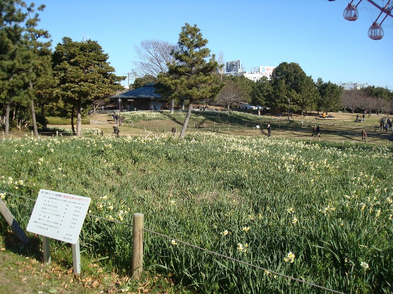 b0128098_1265650.jpg