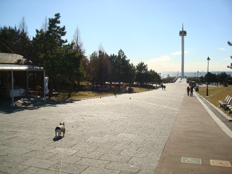 b0128098_1321727.jpg