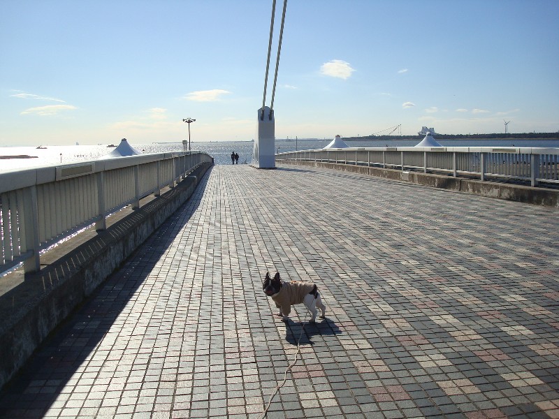 b0128098_1414676.jpg