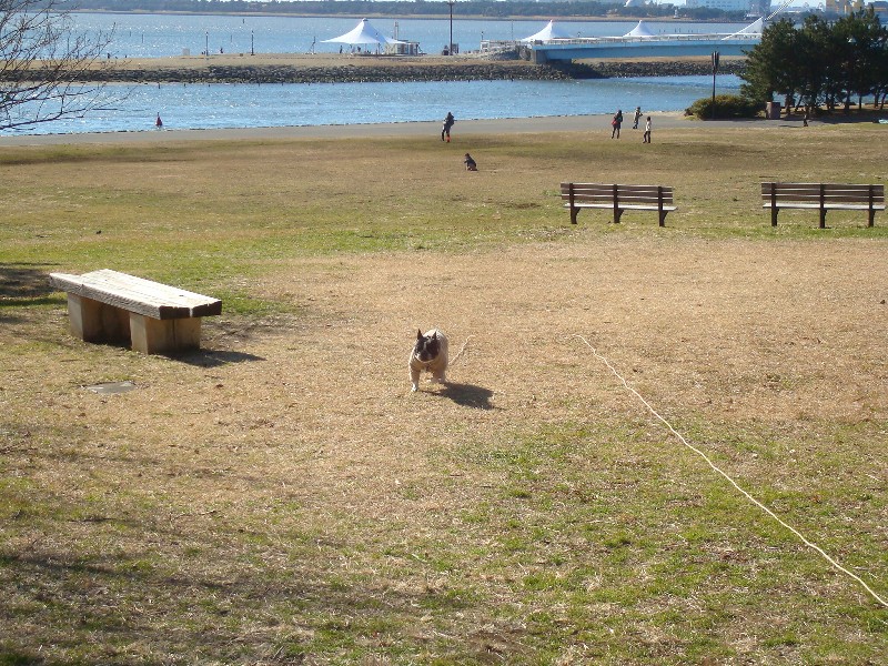 b0128098_1444249.jpg