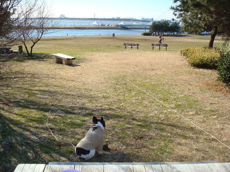 b0128098_1461271.jpg