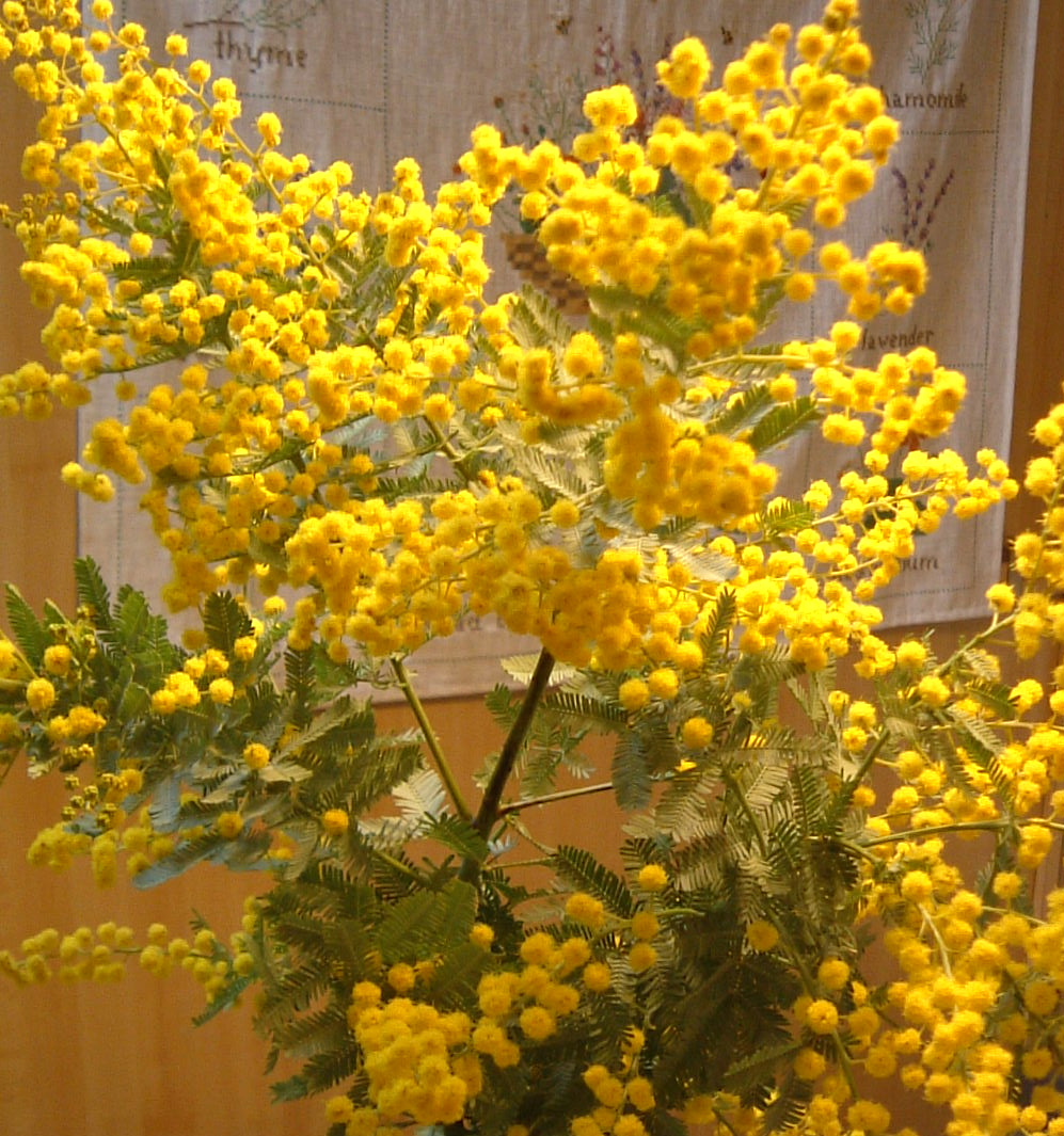 b0207698_21295776.jpg