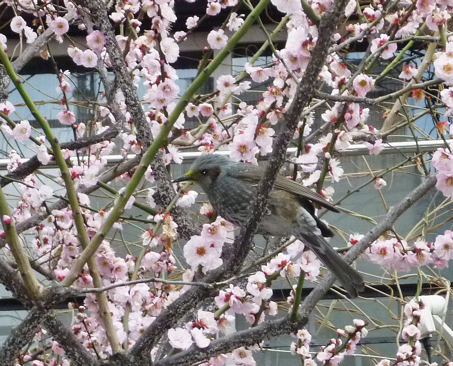 c0138198_1146615.jpg