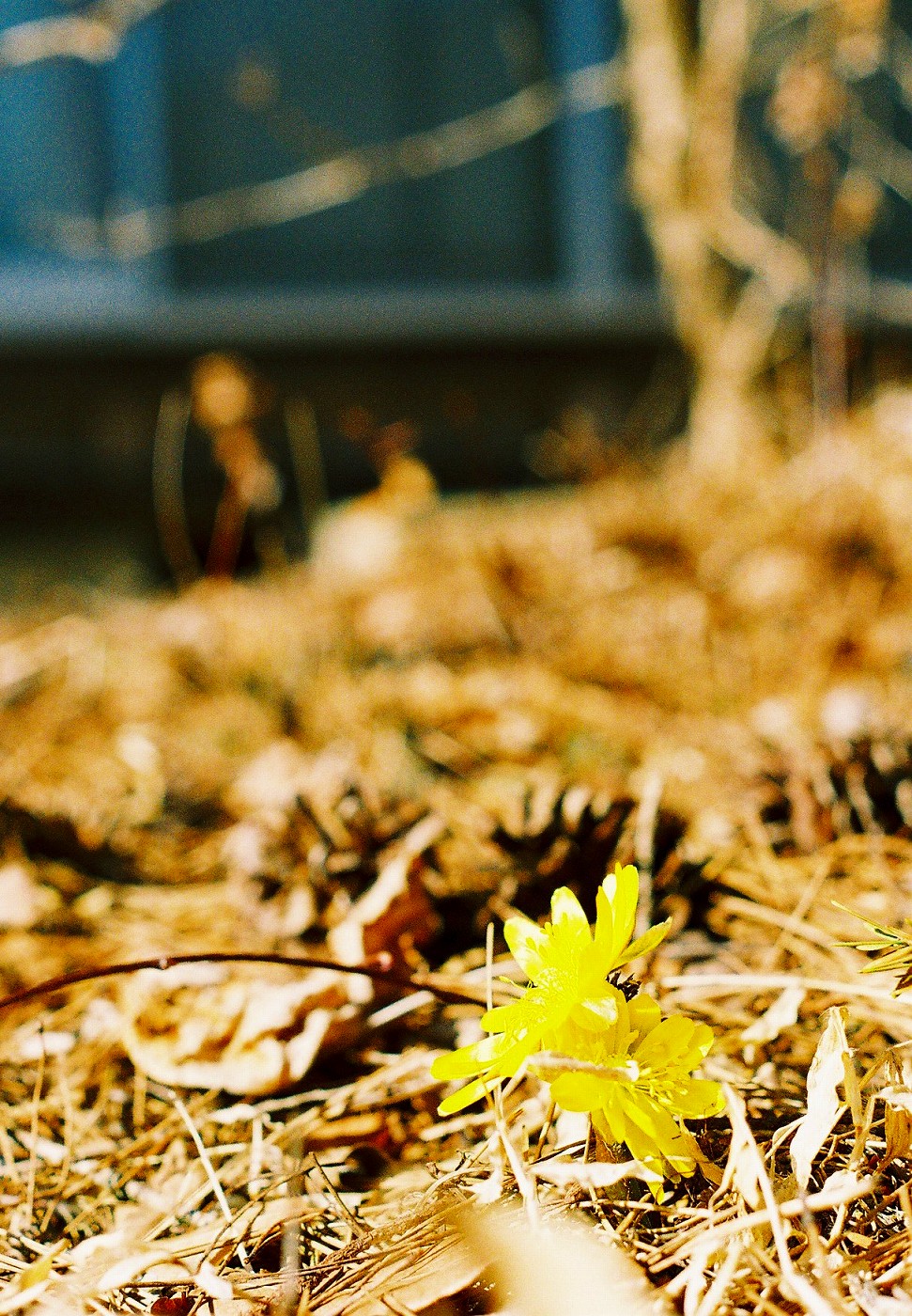 f0220698_22212011.jpg