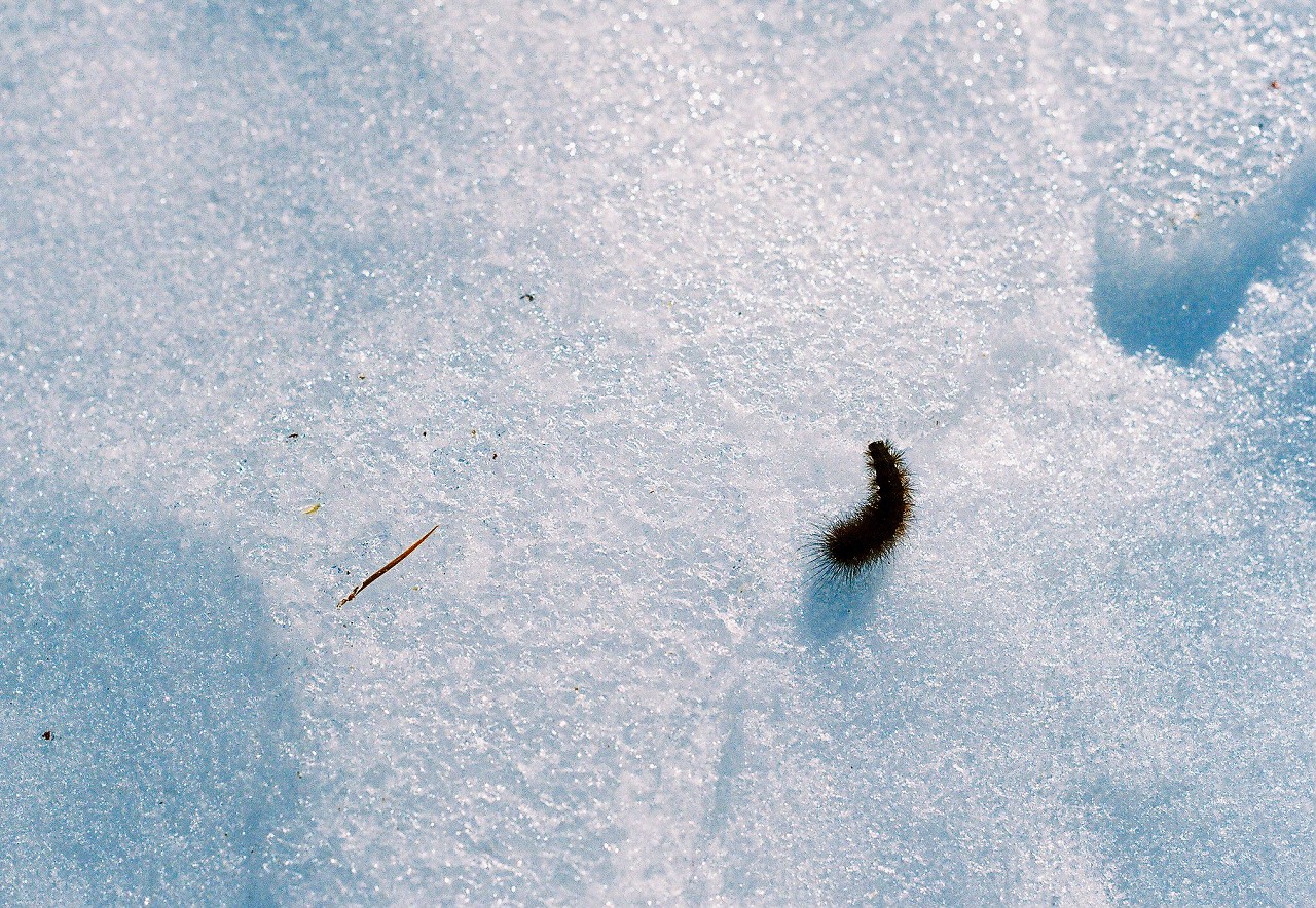 f0220698_22234578.jpg