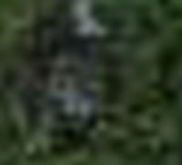 e0103408_1548325.jpg