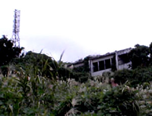 e0103408_1550116.jpg