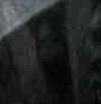 e0103408_18401612.jpg