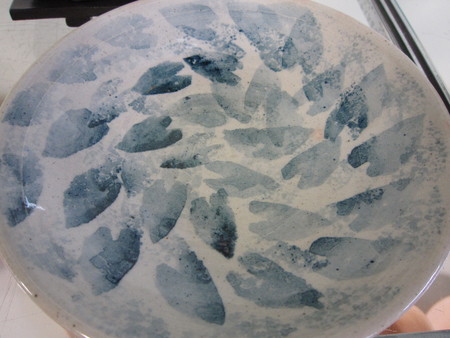 e0126218_20474520.jpg
