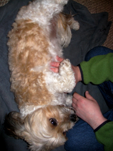 c0148627_1545515.jpg