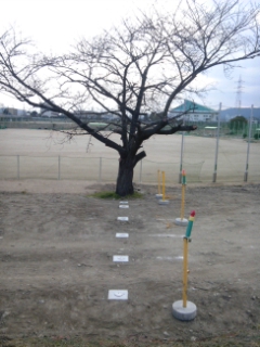 c0034228_23212567.jpg