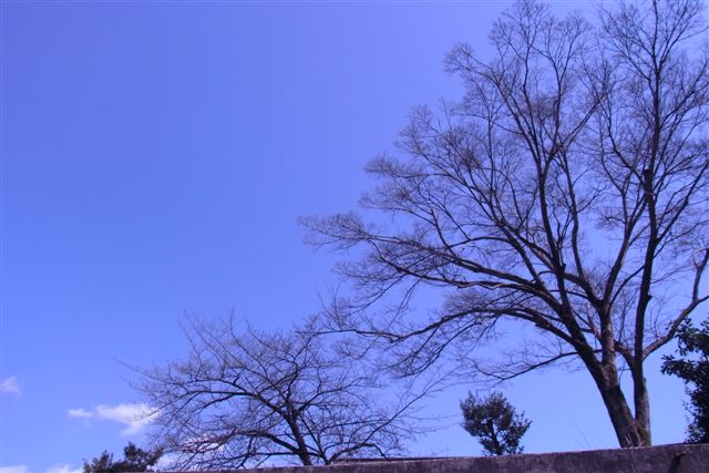 a0123465_23164469.jpg