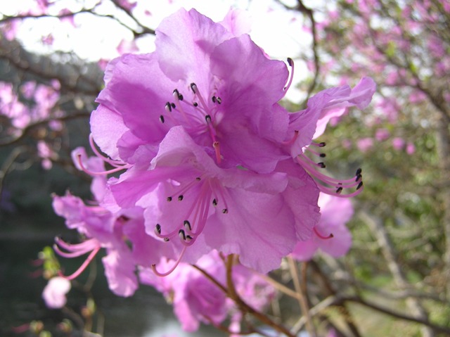 f0207669_1444627.jpg