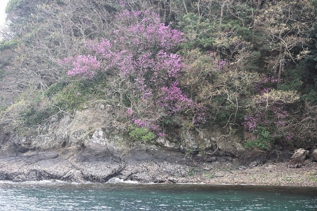 f0207669_14503173.jpg