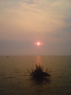 f0207969_935454.jpg