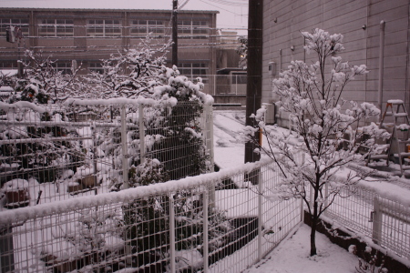 c0118387_11485279.jpg