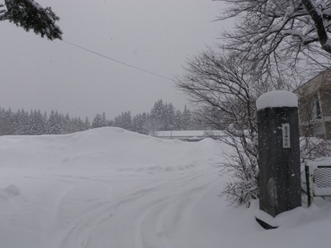 a0138198_10325895.jpg
