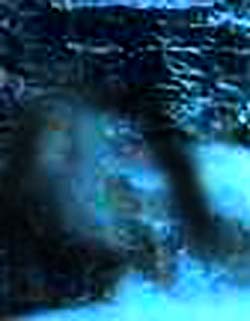 e0103408_14173539.jpg