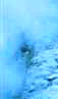 e0103408_14181467.jpg