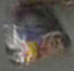 e0103408_14505741.jpg