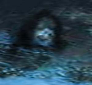 e0103408_1484464.jpg