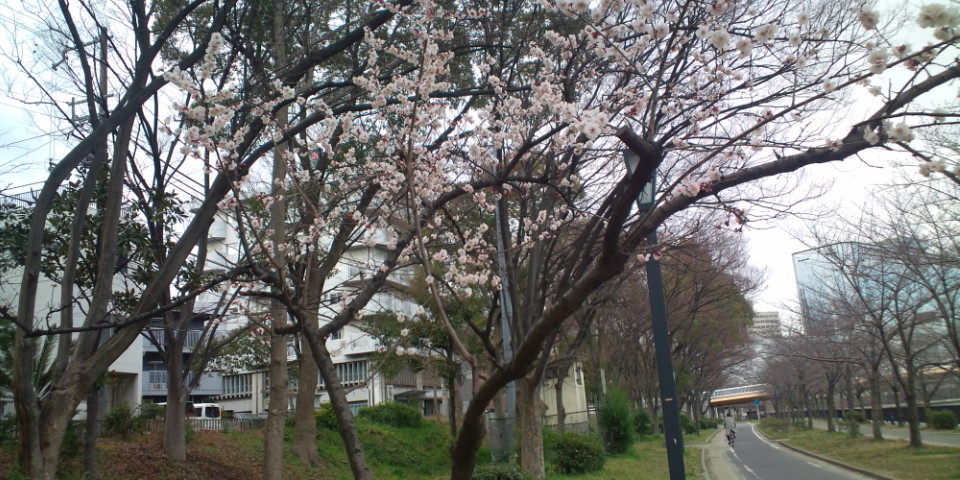 f0219810_8492898.jpg