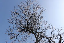 f0079411_2072082.jpg