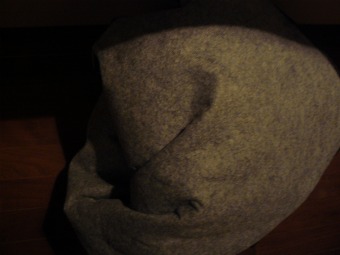 d0165420_0265540.jpg