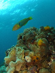 b0100730_1774838.jpg