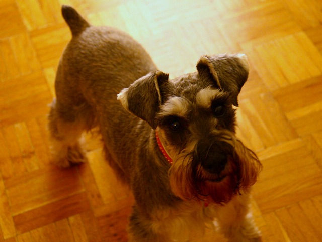 c0153740_316097.jpg