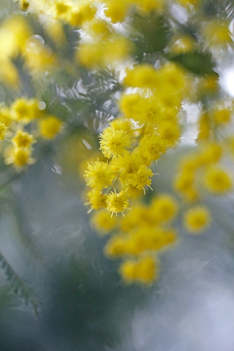 c0214345_1522113.jpg