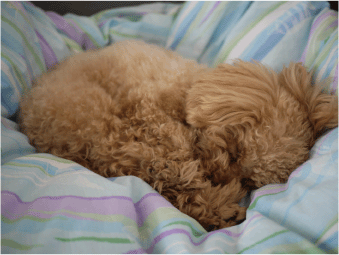 b0182846_14263913.gif