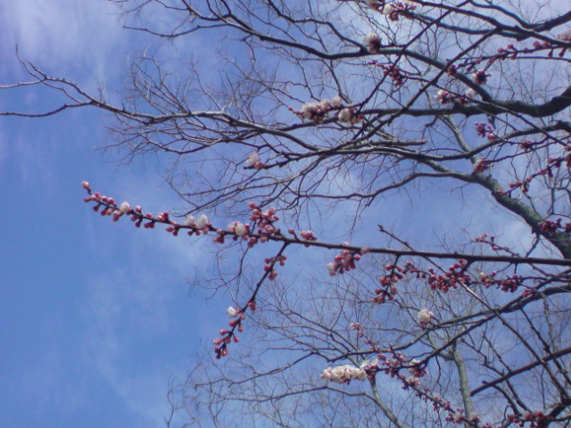 c0189747_18231379.jpg