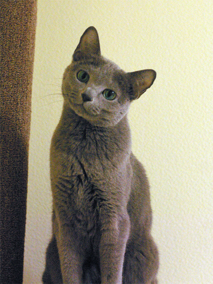 c0006748_23573537.jpg